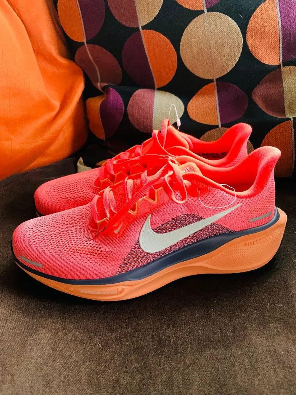 NEW Woman's Sneakers & Athletic Shoes Nike Pegasus 41 Special Edition Unreleased